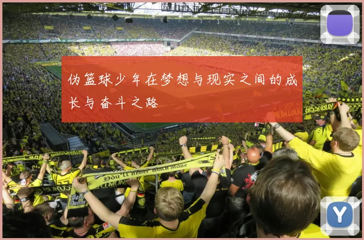 伪篮球少年在梦想与现实之间的成长与奋斗之路