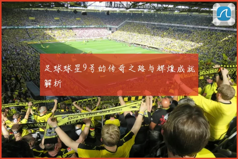 足球球星9号的传奇之路与辉煌成就解析